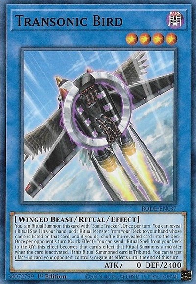 Transonic Bird