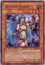 Shadow Tamer