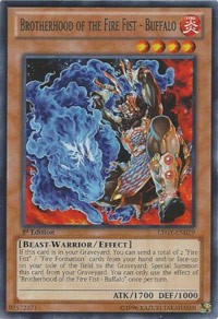 Brotherhood of the Fire Fist