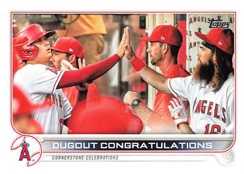 Dugout Congratulations