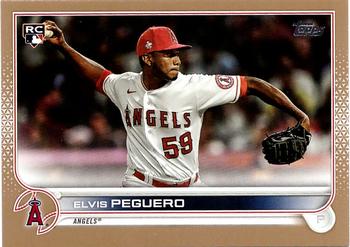 Elvis Peguero
