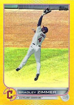 Bradley Zimmer