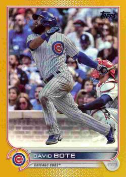 David Bote