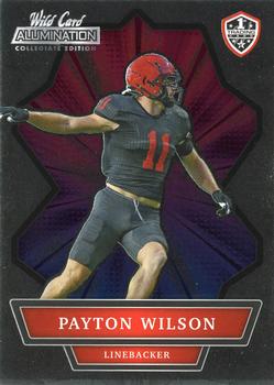 Payton Wilson