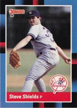 Steve Shields