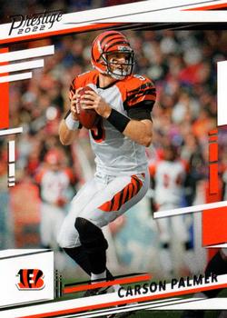 Carson Palmer