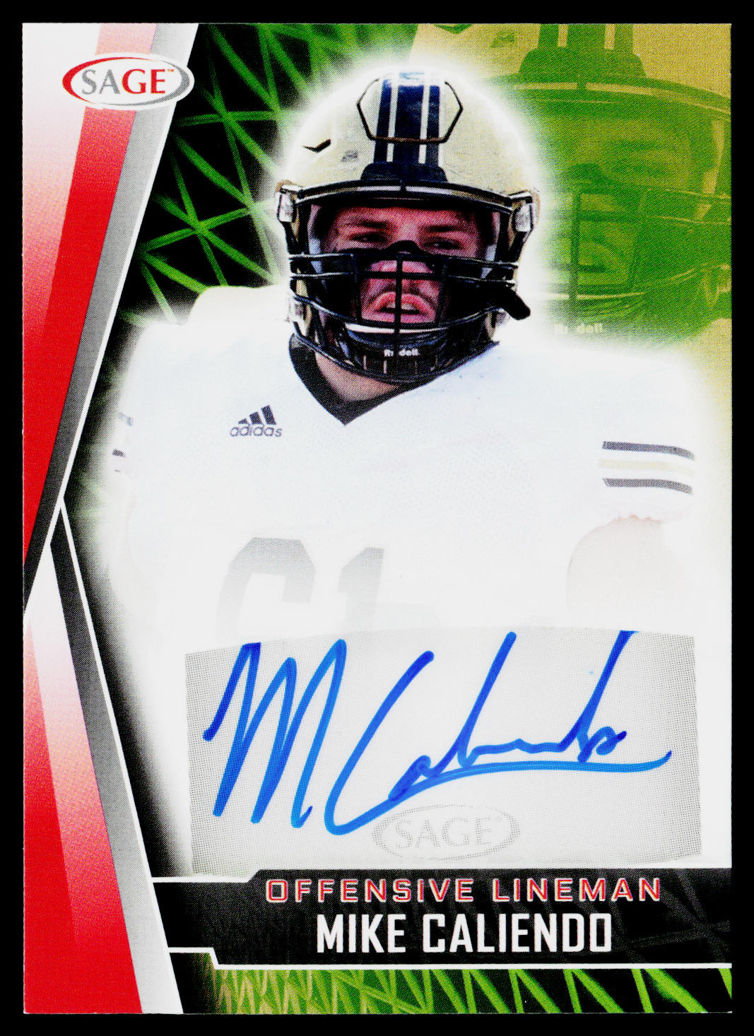 Mike Caliendo