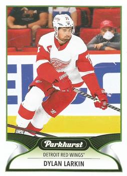 Dylan Larkin