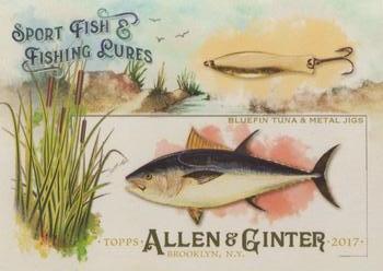 Bluefin Tuna & Metal Jigs