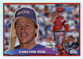Carlton Fisk