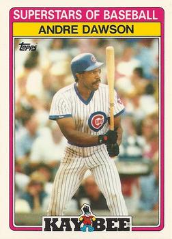Andre Dawson