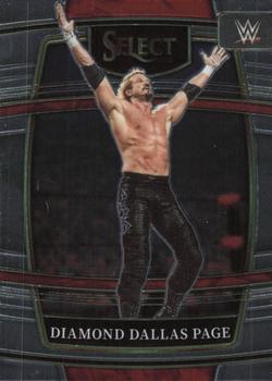 Diamond Dallas Page