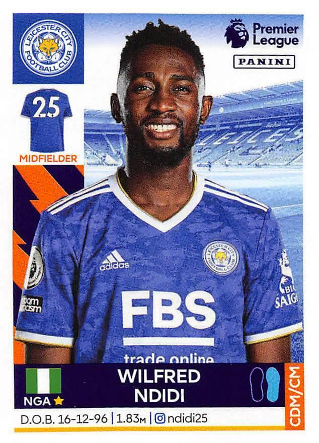 Wilfred Ndidi