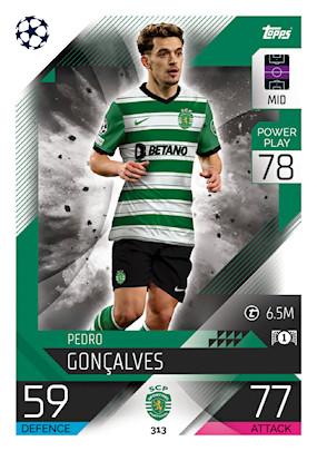 Pedro Goncalves