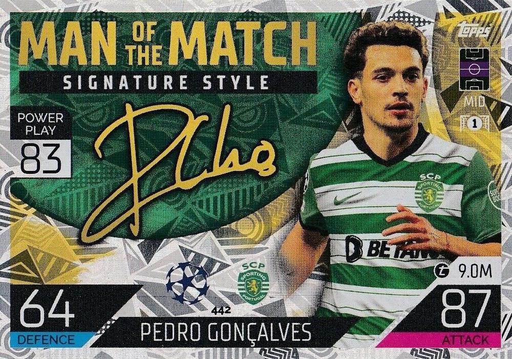 Pedro Goncalves