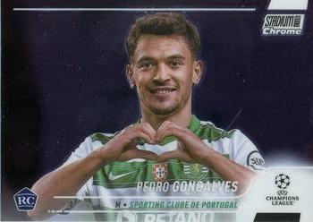 Pedro Gonçalves
