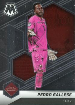 #42 Pedro Gallese