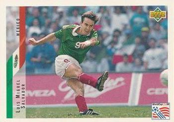 Luis Miguel Salvador