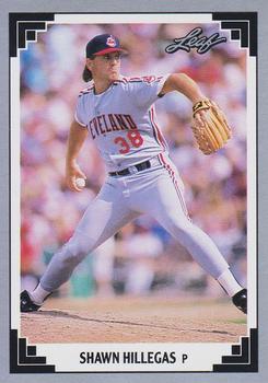 Shawn Hillegas