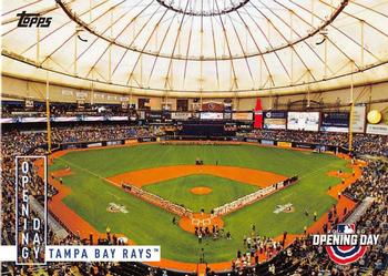 Tampa Bay Rays
