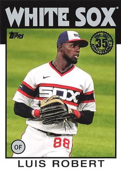 Luis Robert