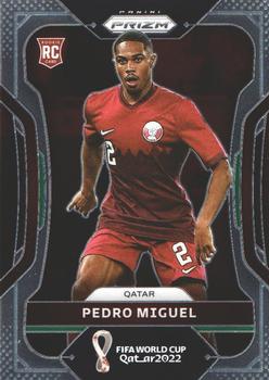 Pedro Miguel
