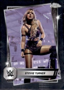 Stevie Turner