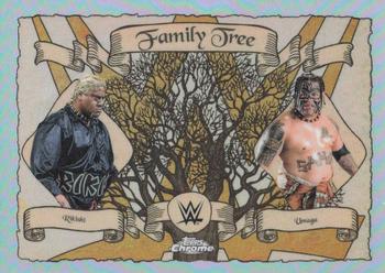 Rikishi / Umaga