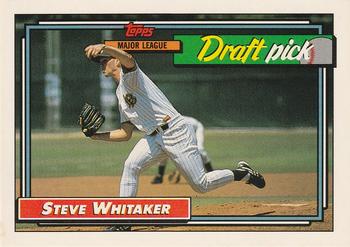 #369 Steve Whitaker