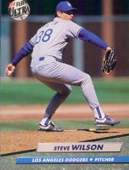 Steve Wilson