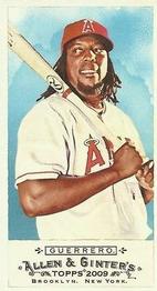 Vladimir Guerrero