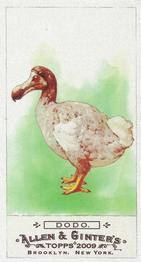 Dodo