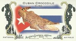 Cuban Crocodile / Cuba