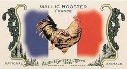 Gallic Rooster / France