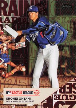 Shohei Ohtani