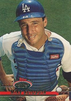 Mike Scioscia