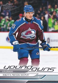 Nikita Prishchepov