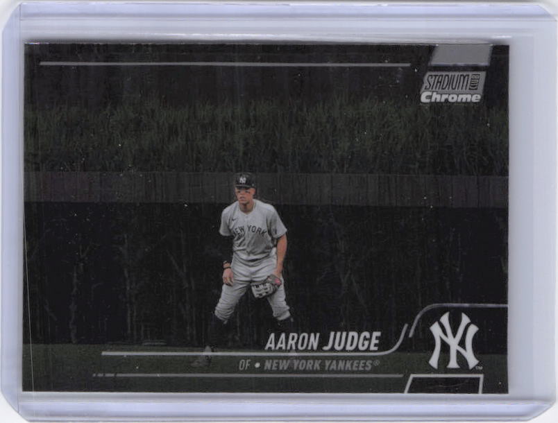 Aaron Judge