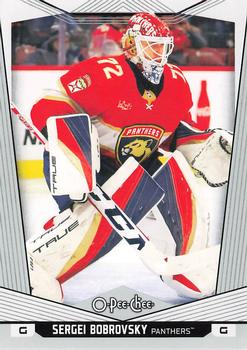 Sergei Bobrovsky