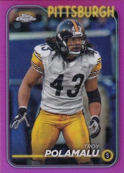 Troy Polamalu