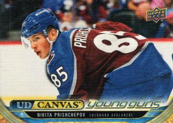 Nikita Prishchepov