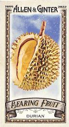 Durian