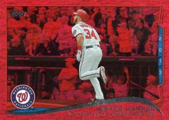 #390 Bryce Harper