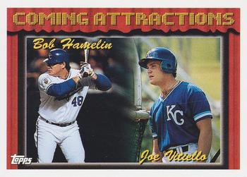 Bob Hamelin / Joe Vitiello