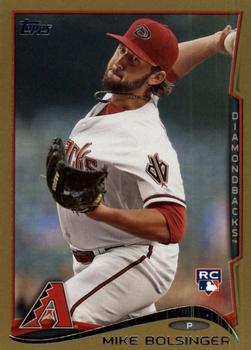 Mike Bolsinger