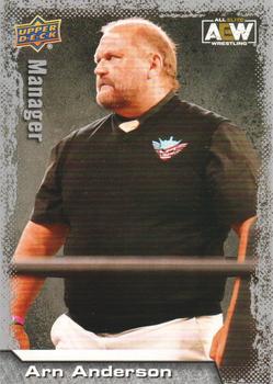 Arn Anderson