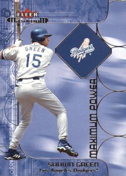 Shawn Green