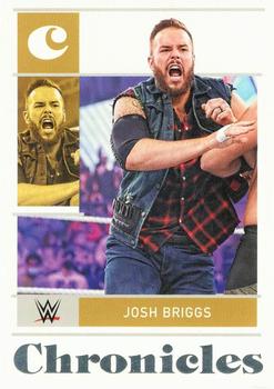 Josh Briggs
