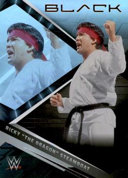 Ricky "The Dragon" Steamboat