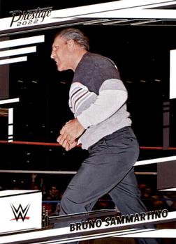 Bruno Sammartino